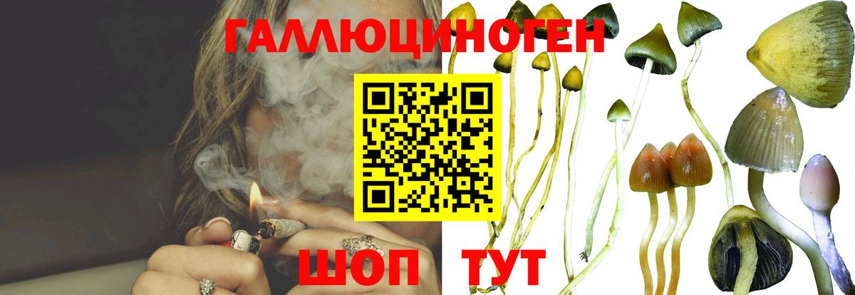 Галлюциногенные грибы ЛСД  Вход с VPN  Междуреченск 